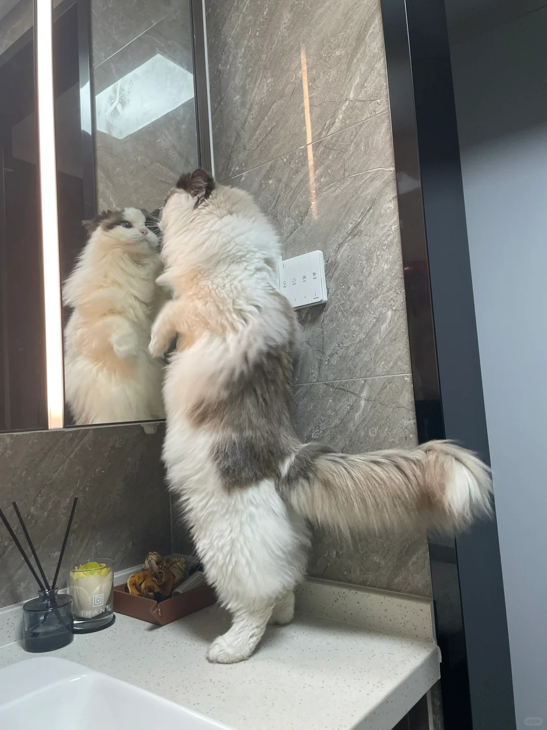 师傅你干什么工作的