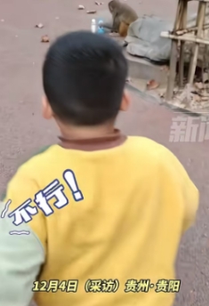 初生不怕牛犊，4岁小孩就敢单挑黔灵山猴子，男孩的饮料被猴子偷走，孩子指定不乐意，