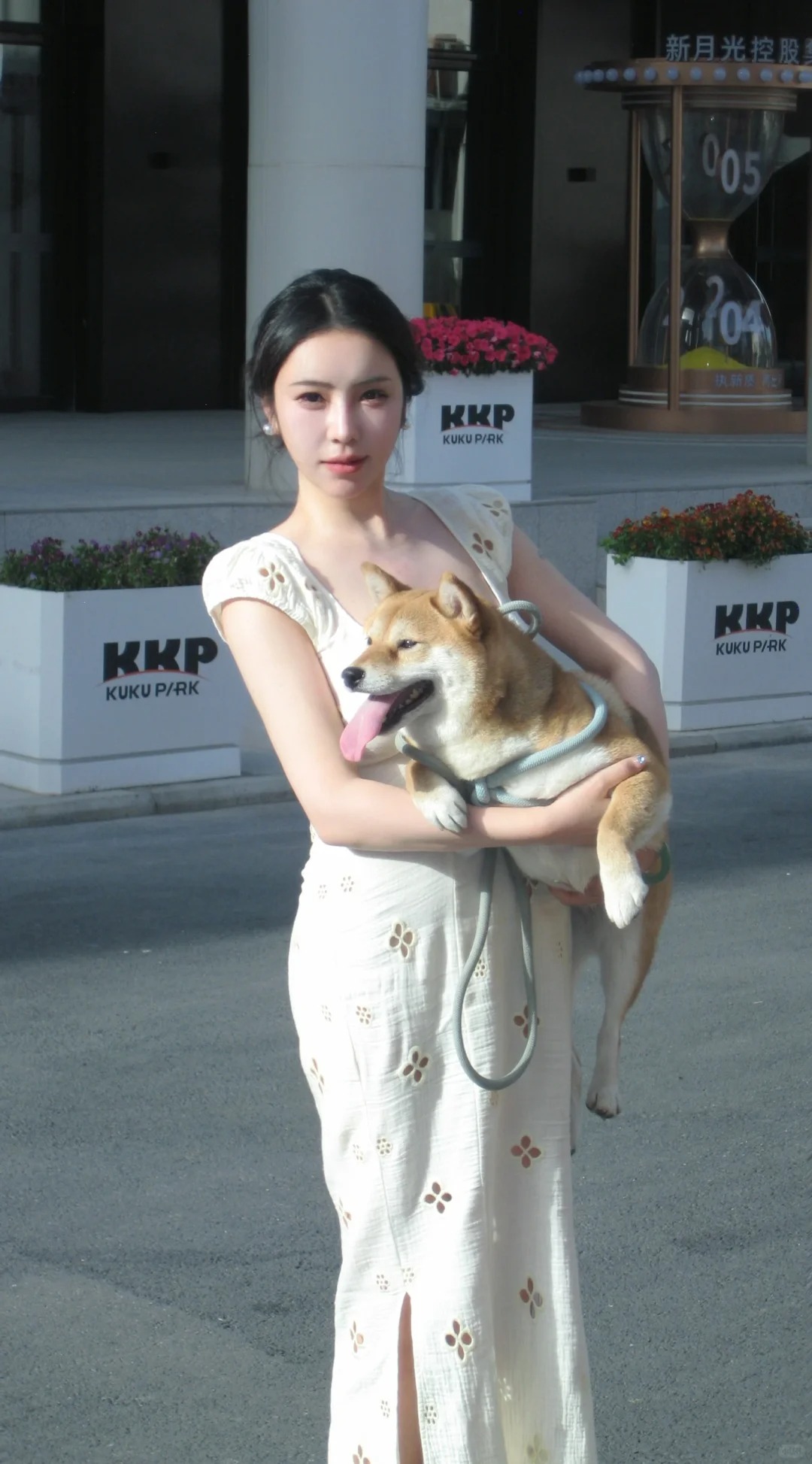 回来小黄 不要打扰这位美丽的女士