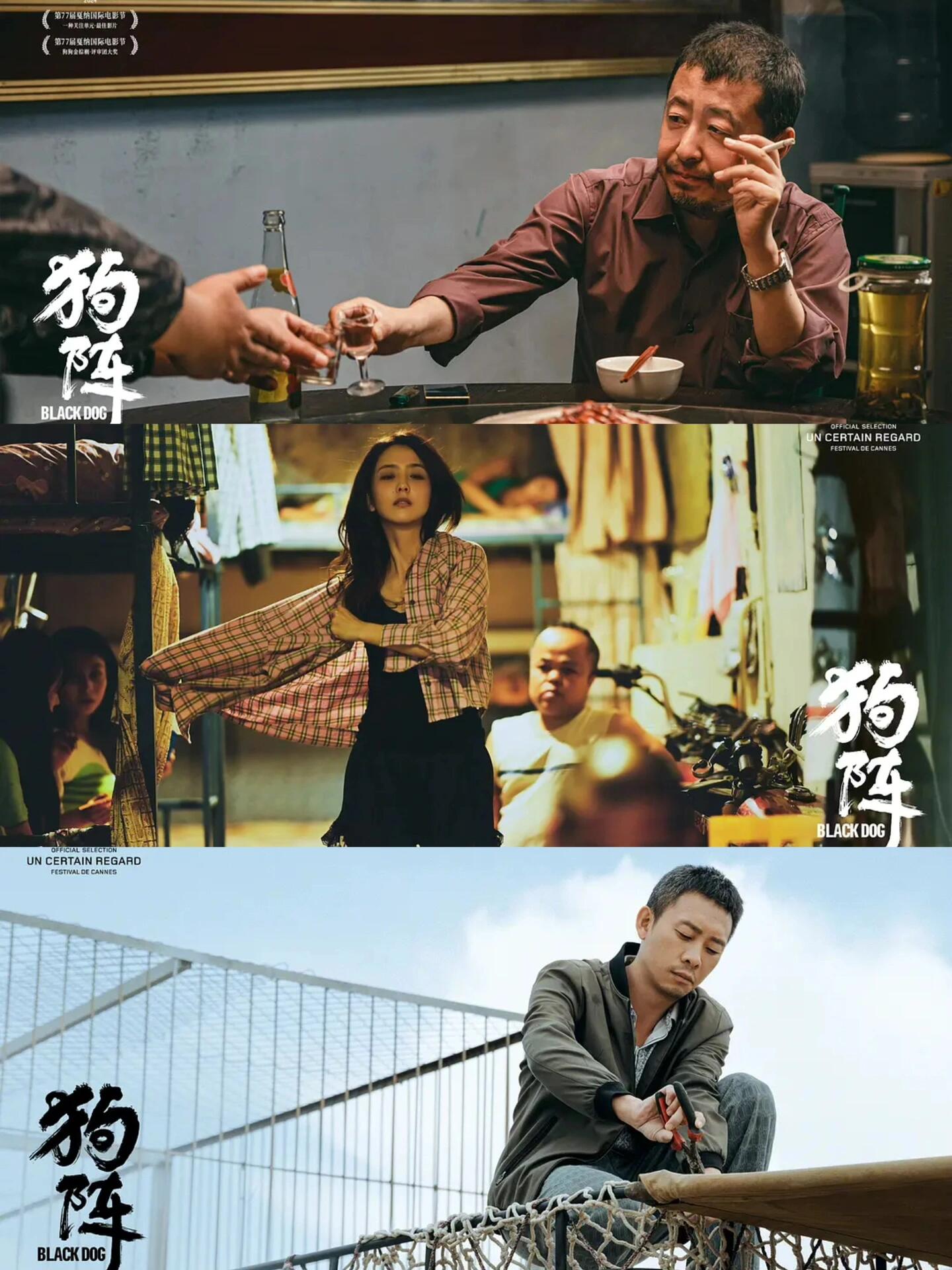 狗阵：一个人与一条狗的自我救赎之路