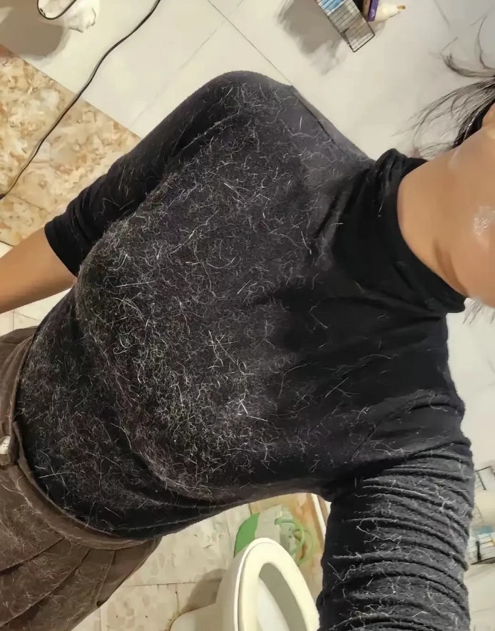 家里的猫掉毛了，这种情况该怎么办
