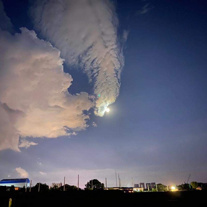 加班到十点才回来，正好碰到婆婆起夜。
看到亭亭，立马翻了一个白眼，阴阳怪气的说。