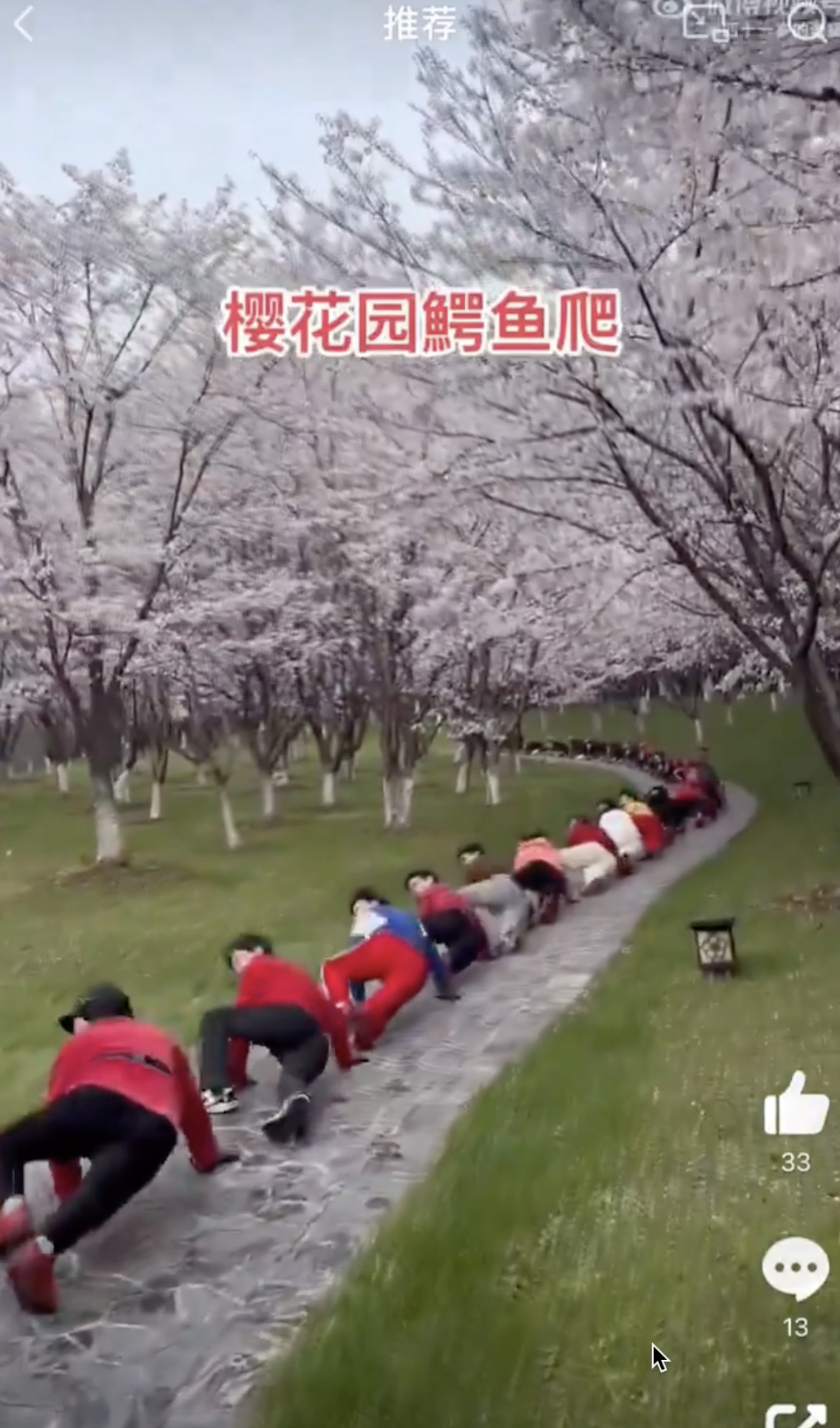 什么是广场舞都弱爆了，这个樱花园的鳄鱼爬绝对是震古烁今，大爷大妈们，你们赢了，三