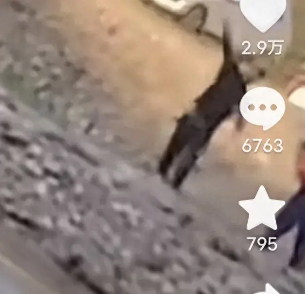 太可怕了！男子自带皮划艇带娃游玩，遭四名自称“景区工作人员”岸边扔石头!

泾县