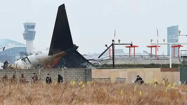 韩国12月29日的空难，背后真的是与金木水火土有关吗？