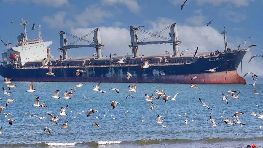 威海：探寻威海11大代表性景点，特别是最后一个，1天3万人打卡