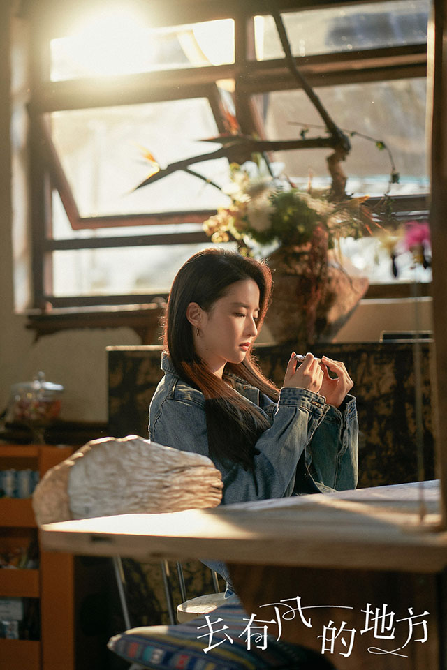 刘亦菲凭《去有风的地方》许红豆一角，获得澳门电影电视节最佳女主角。她说，原来努力