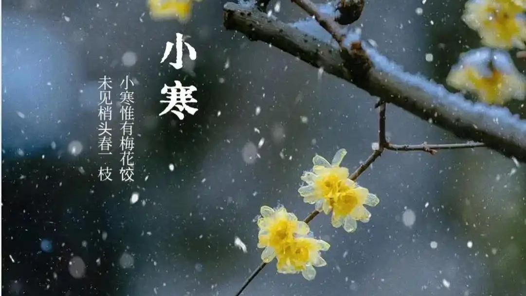 【健康科普】小寒节气将至，饮食方面要注意，调理身体来年少生病