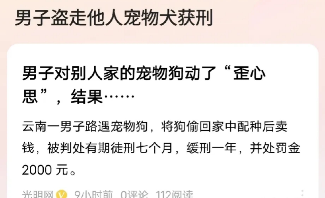 以为找到了发财之路，没想到自己把自己坑了！云南，男子出门玩，遇到一个很温顺的狗，