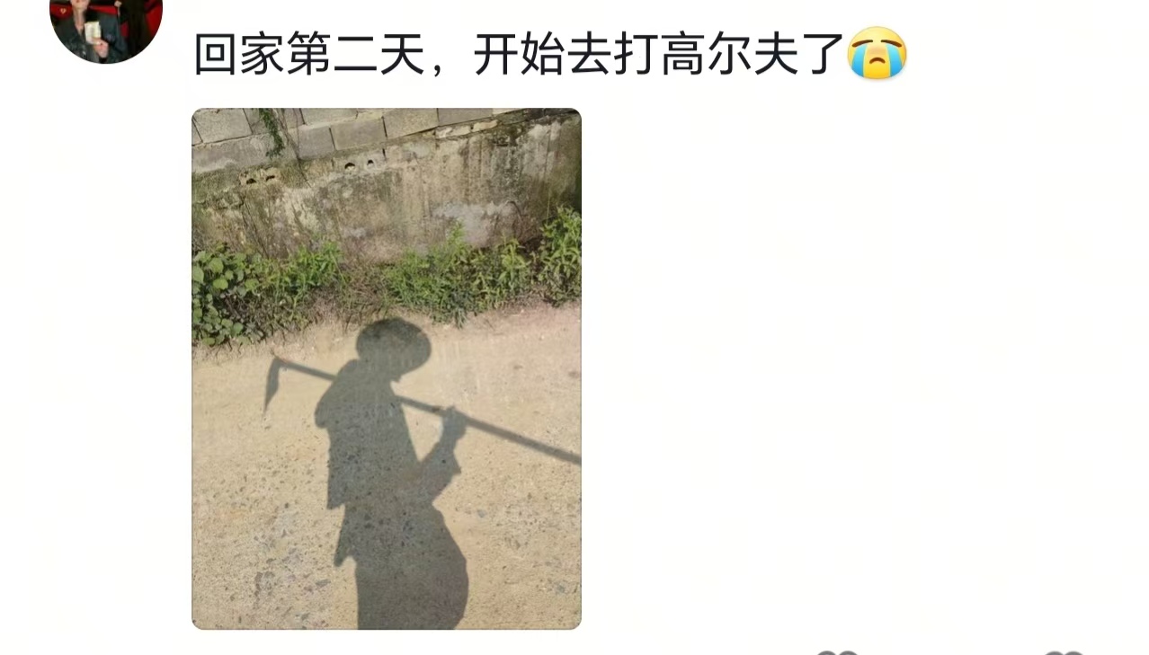 第一批放假的大学生现在在干什么？