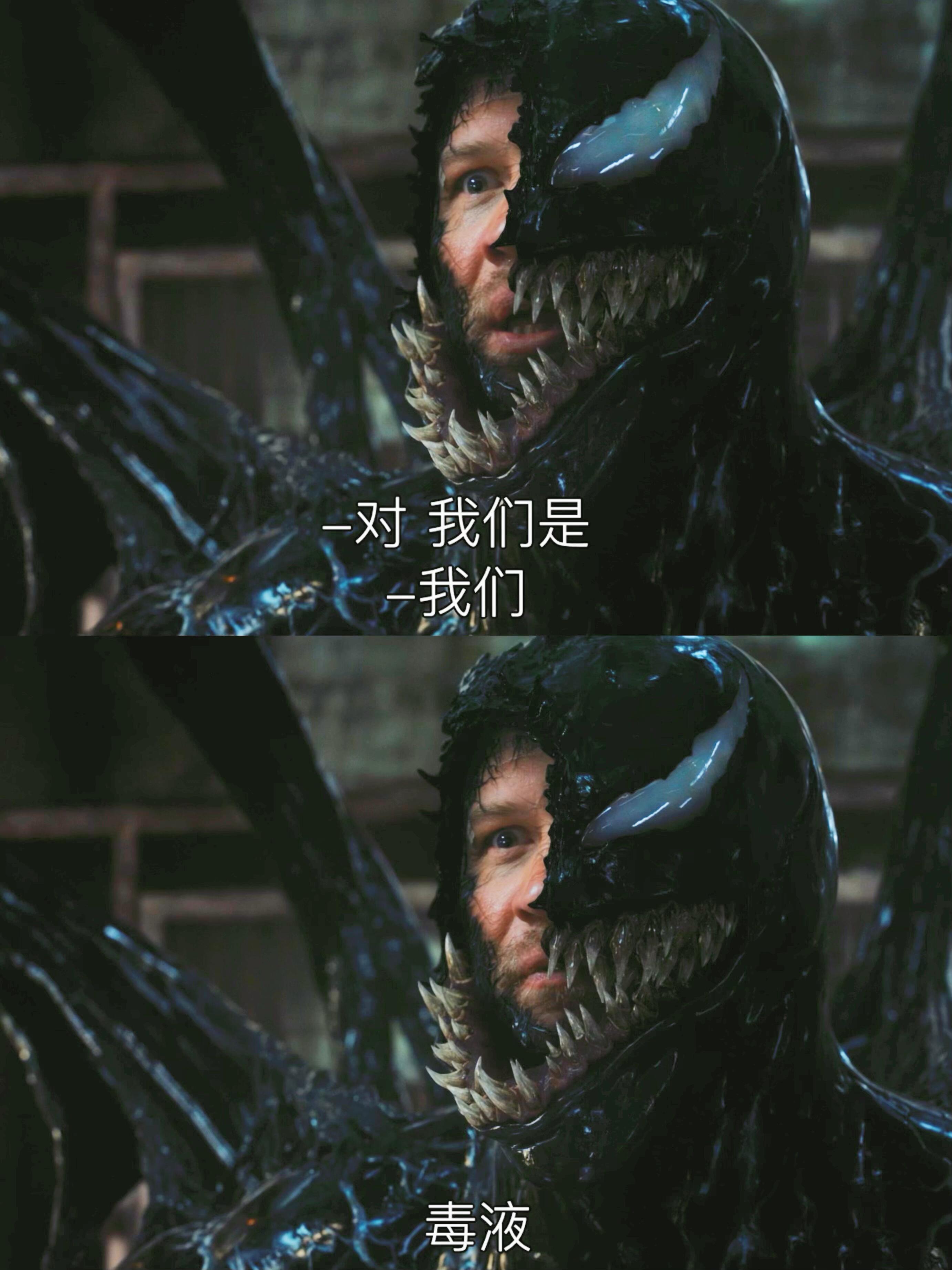 毒液3:这个BE结局我意难平啊