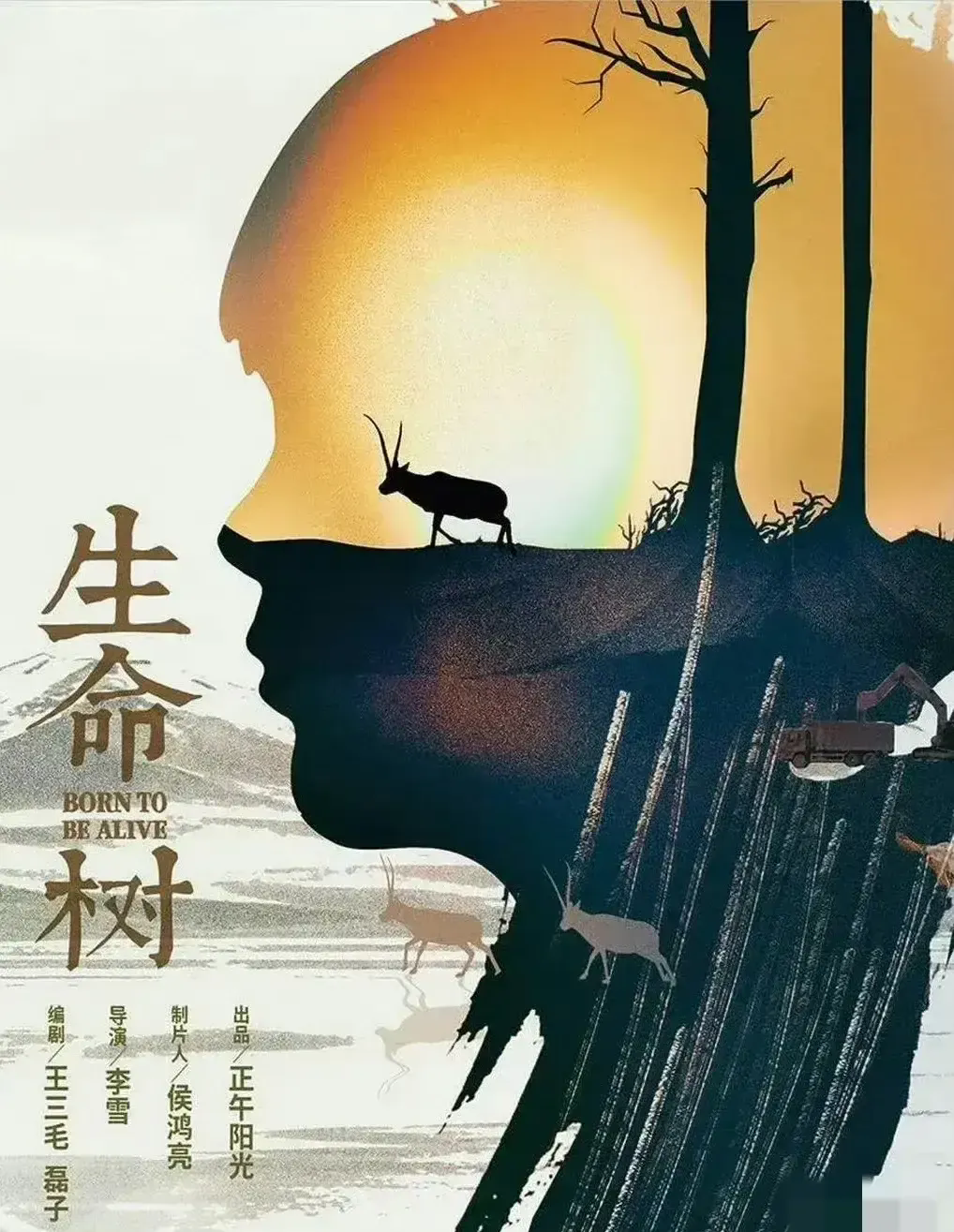 杨紫下部《生命树》厉害了
青海广电已经开始准备了，还专门开了推进会，正午搞这种正