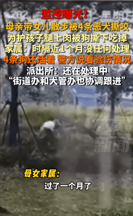 赣州，母女公园散步，被四条恶犬围攻撕咬，伤情惨不忍睹，造成了母亲轻伤一级，女儿轻