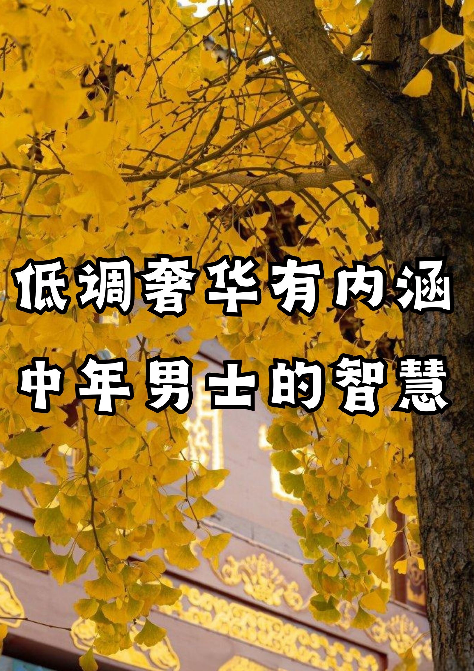 低调奢华有内涵，中年男人的智慧！
