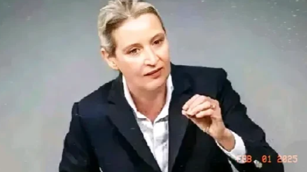 德国联邦议会投票决定禁止德国选择党参加即将举行的议会选举，支持禁令的政党认为该党