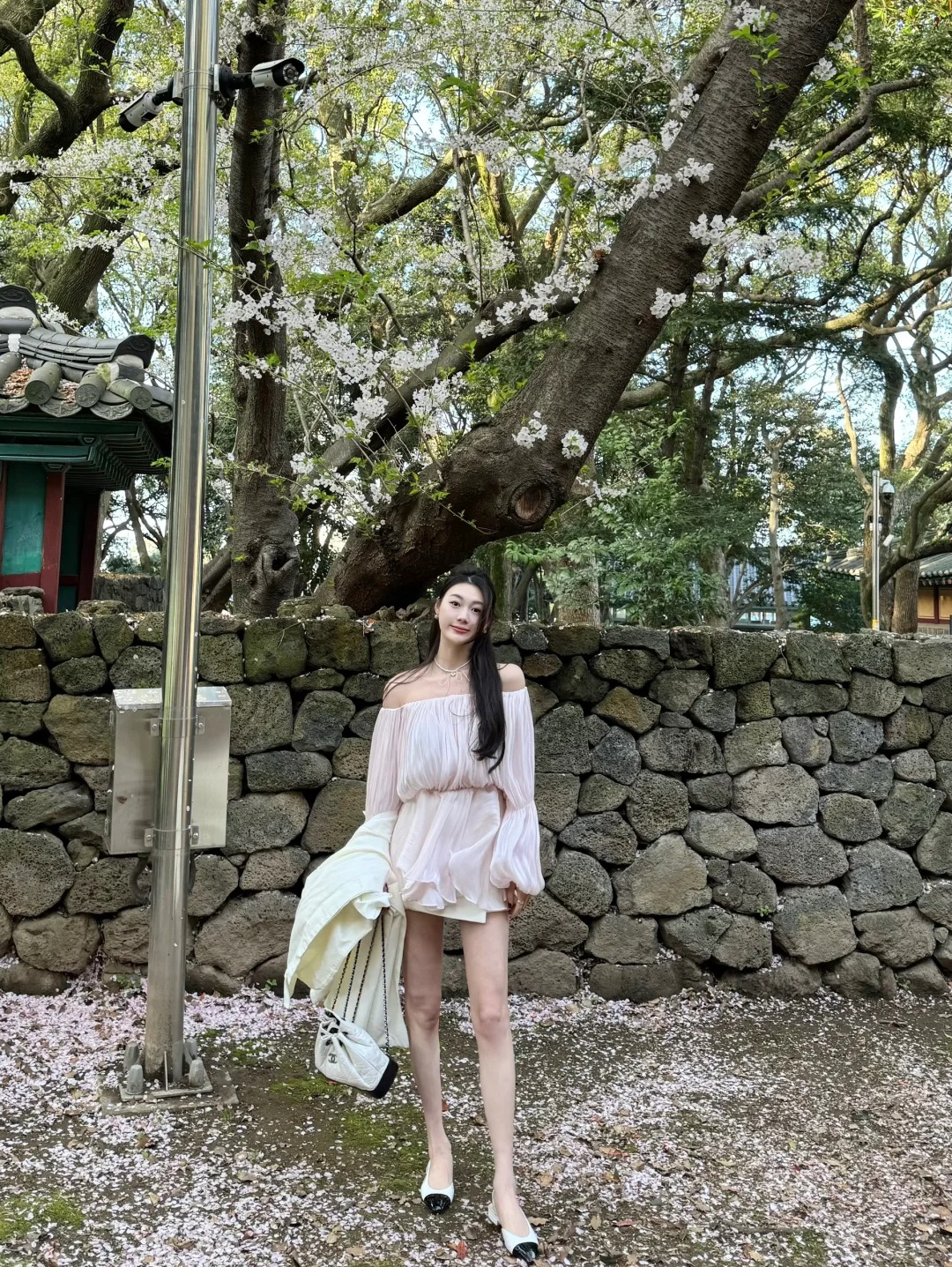 樱花树下站谁都美🌸
济州岛三姓穴美的无边了