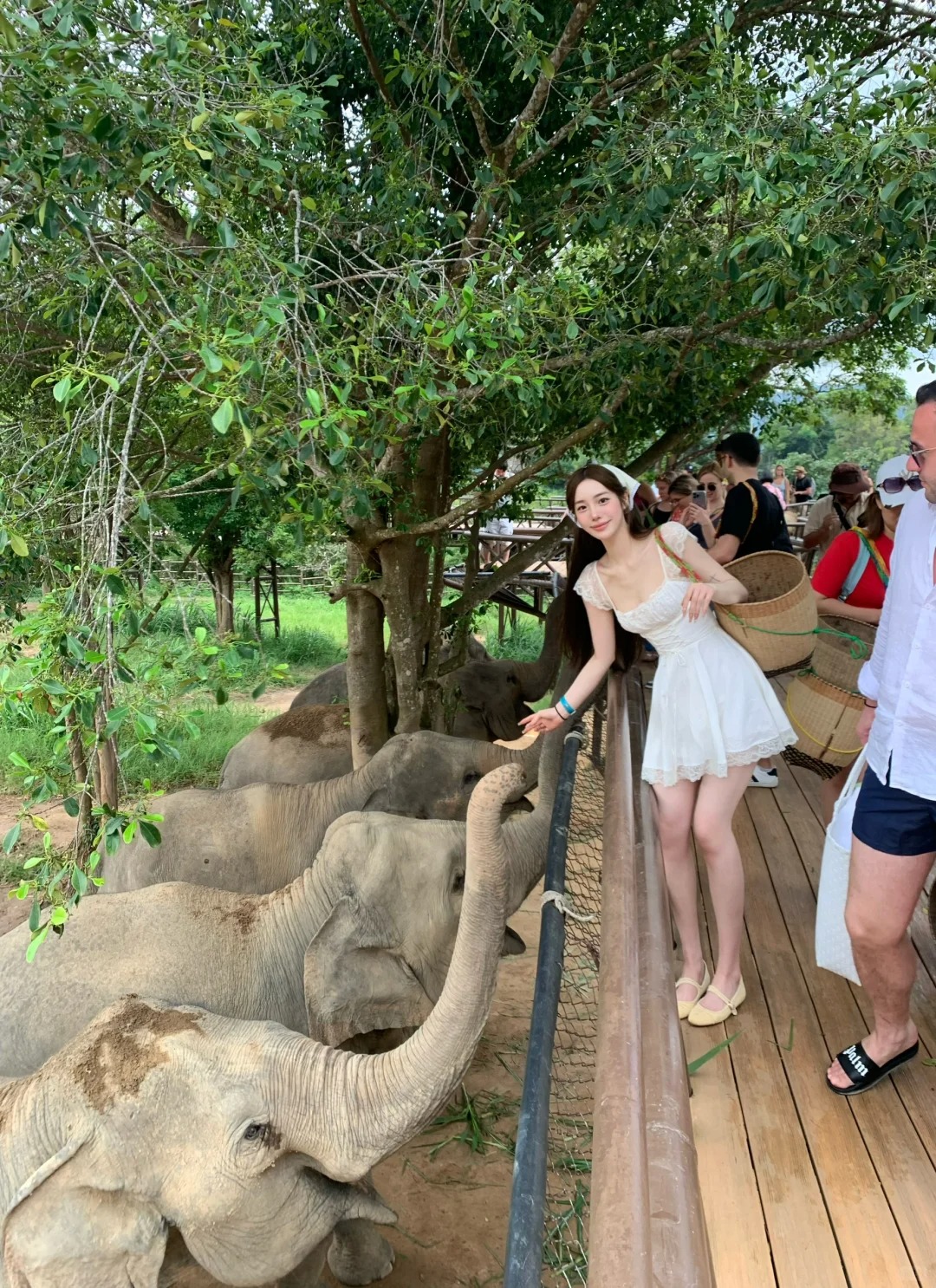 拍照被这样盯着真的会不好意思😅
裙子:LaLuneDuCiel
头巾：LaLu