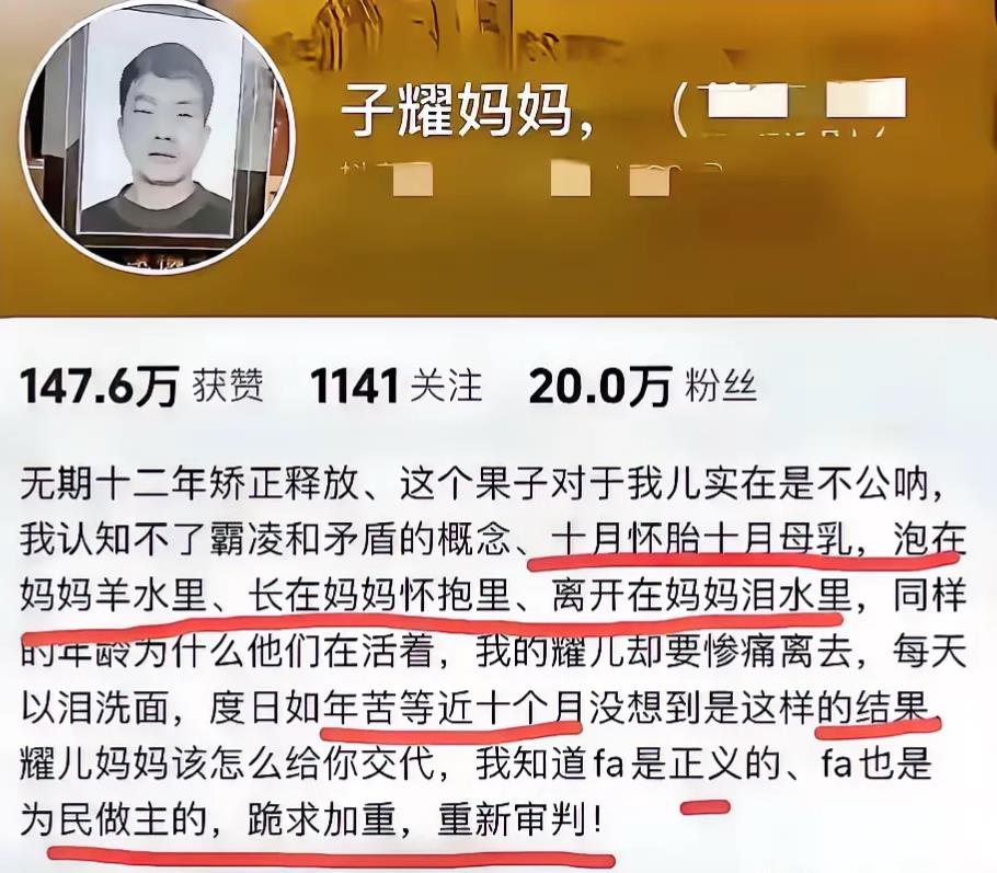 邯郸被杀男孩母亲回应了，要求重新审判，她觉得判的太轻。我也觉得李某判12年有点轻