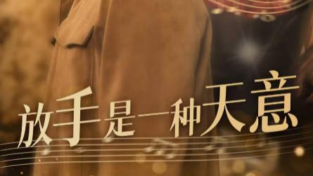 短剧在线观看《放手是一种天意》完整版全集（39集）