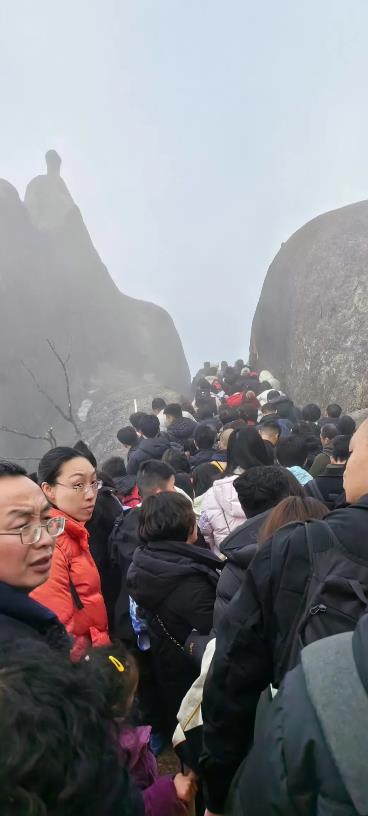 镜头往下看到的是这样