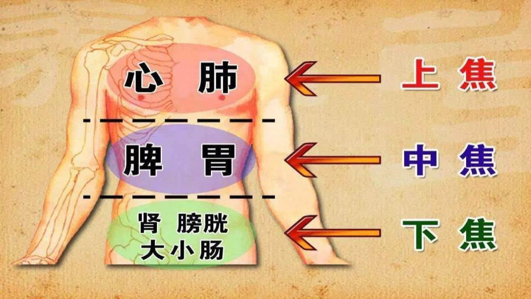 汗多是气虚，口水多是气虚，尿多也是气虚，中医教你一招补气固气