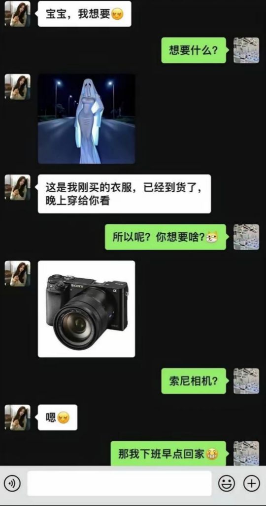 所以要相机是要拍婚纱照吗？