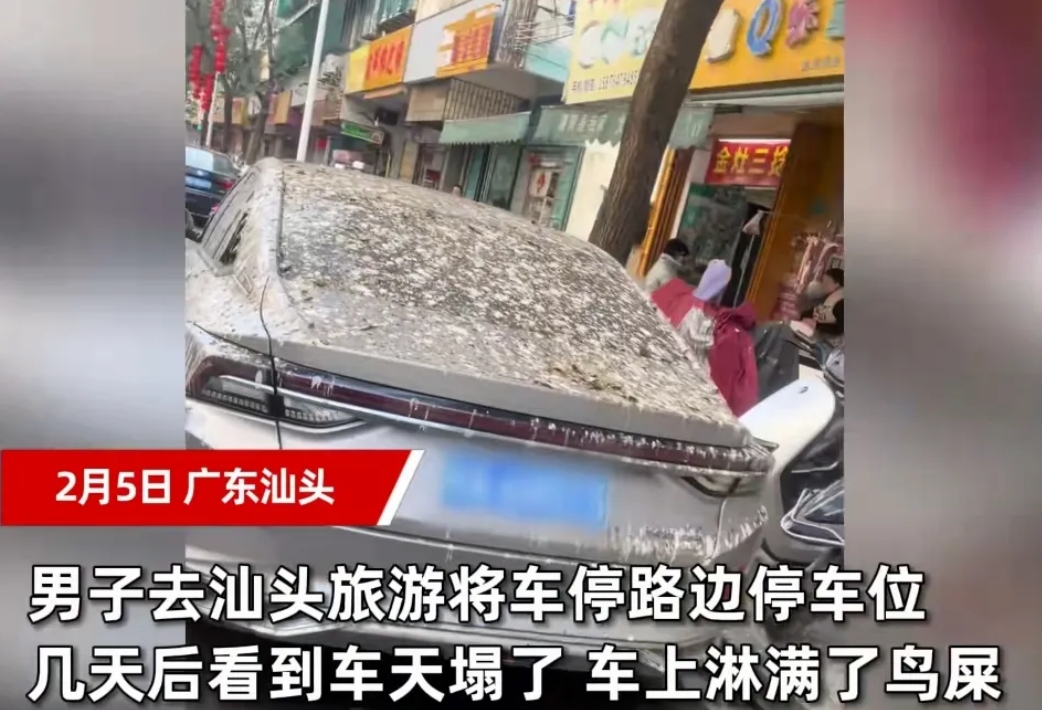 近日广东汕头，一40岁男子来到汕头旅游，找了半天车位，看见一棵树下有个空的停车位