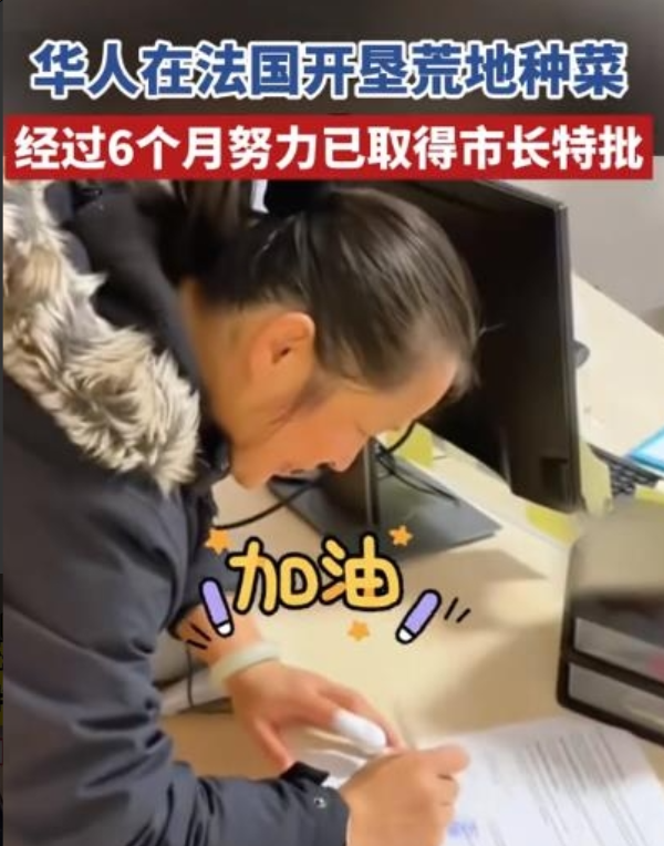 2024年11月21日法国巴黎，中国人抱团在巴黎将一块荒废了近40年的荒草地开荒