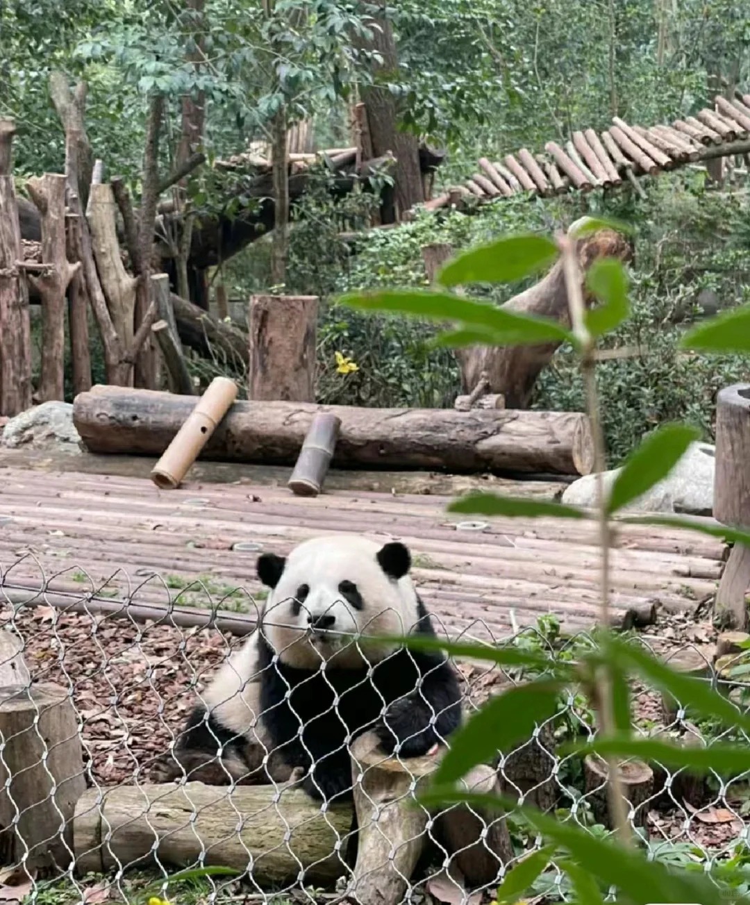 宝宝的脑袋是圆规画的吗？好圆啊