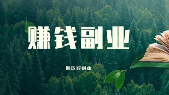 月入五六千？探索这些副业机会，拓宽你的收入渠道！