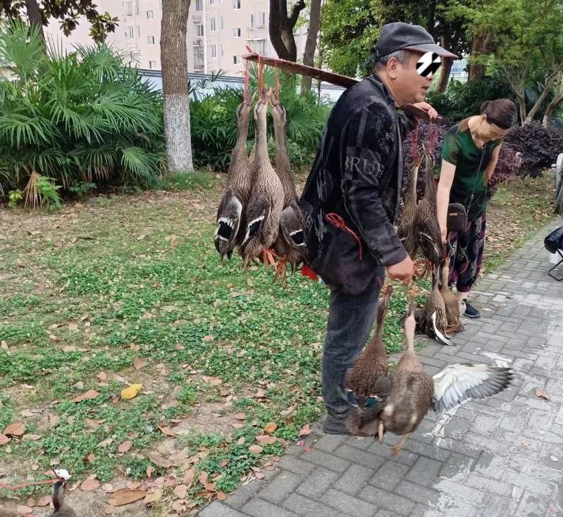 不怪大妈看得那么入迷，换谁谁不是！
