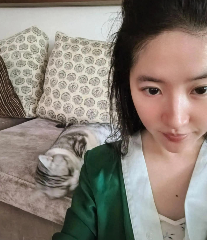 刘亦菲穿真丝睡衣晒美照，家中猫狗双全，可惜仍单身