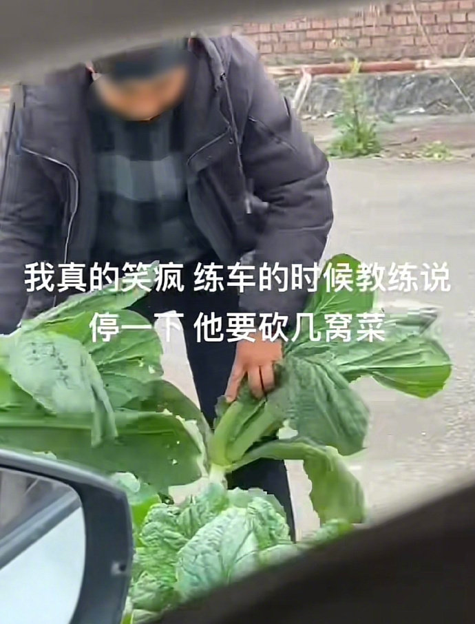 驾校教练有种不顾人死活的松弛感 ​​​