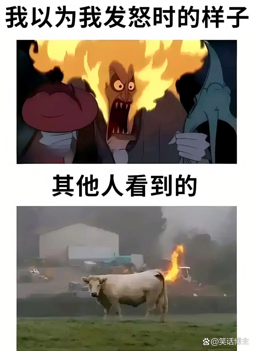 今日搞笑分享：我以为我发怒的样子[尬笑]！哈哈哈哈！