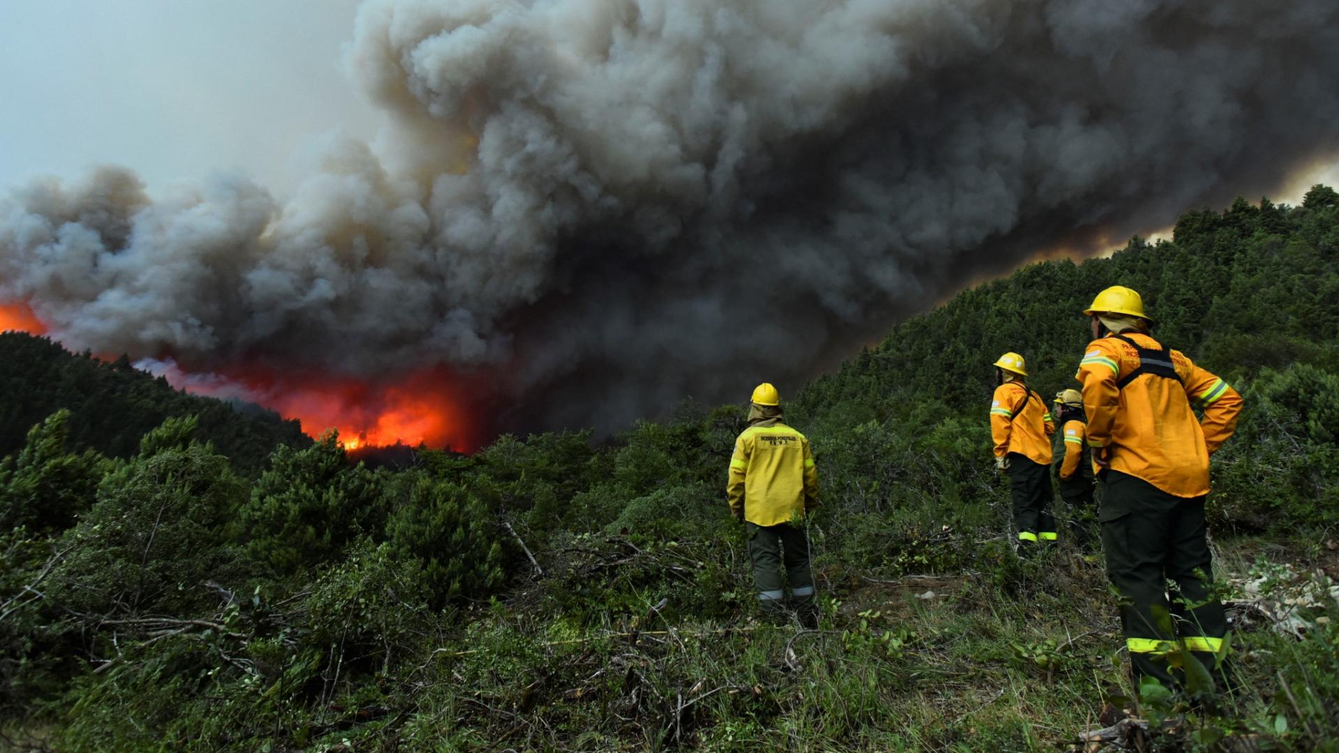 阿根廷野火横扫南北　近30万公顷森林成焦土