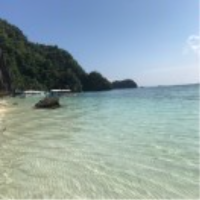 菲行慢记