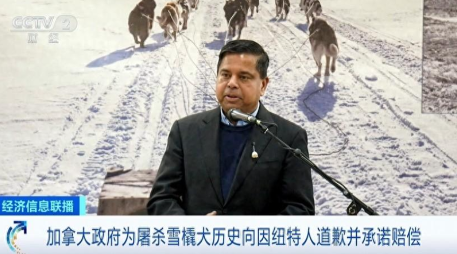 “对不起，我们错了！”11月23日，加拿大政府终于低头认错，就上世纪五六十年代对