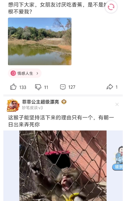 理由只有一个