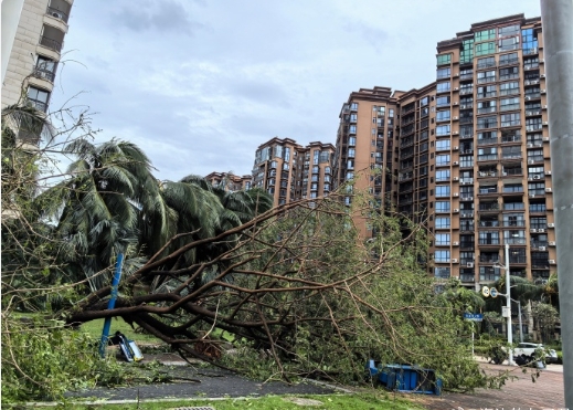 刚去帮朋友看她房子的，路上随手拍了几张照片，真的，太惨了（我们这个区域其实在海口