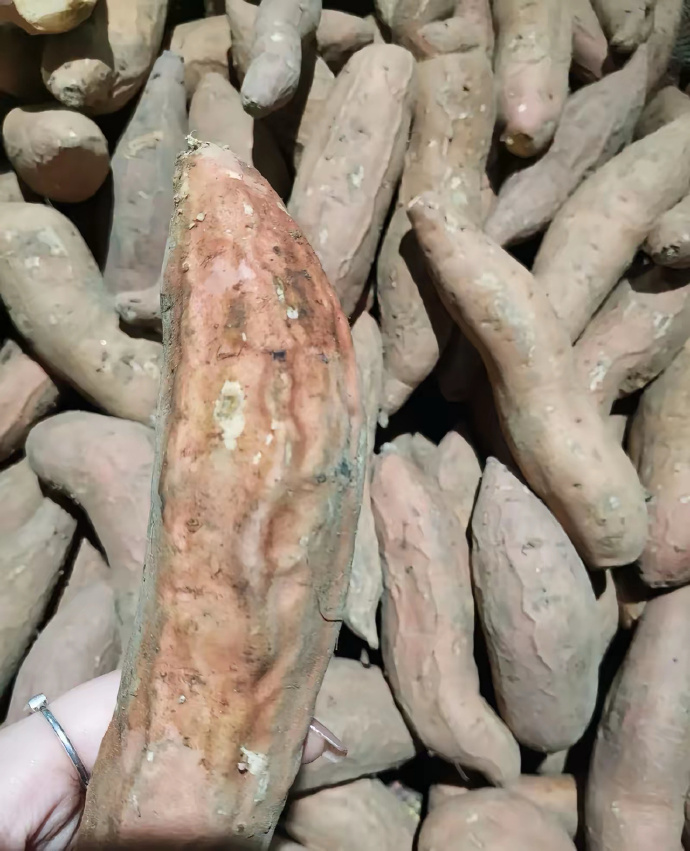 这个用你老家方言叫什么？ ​​​