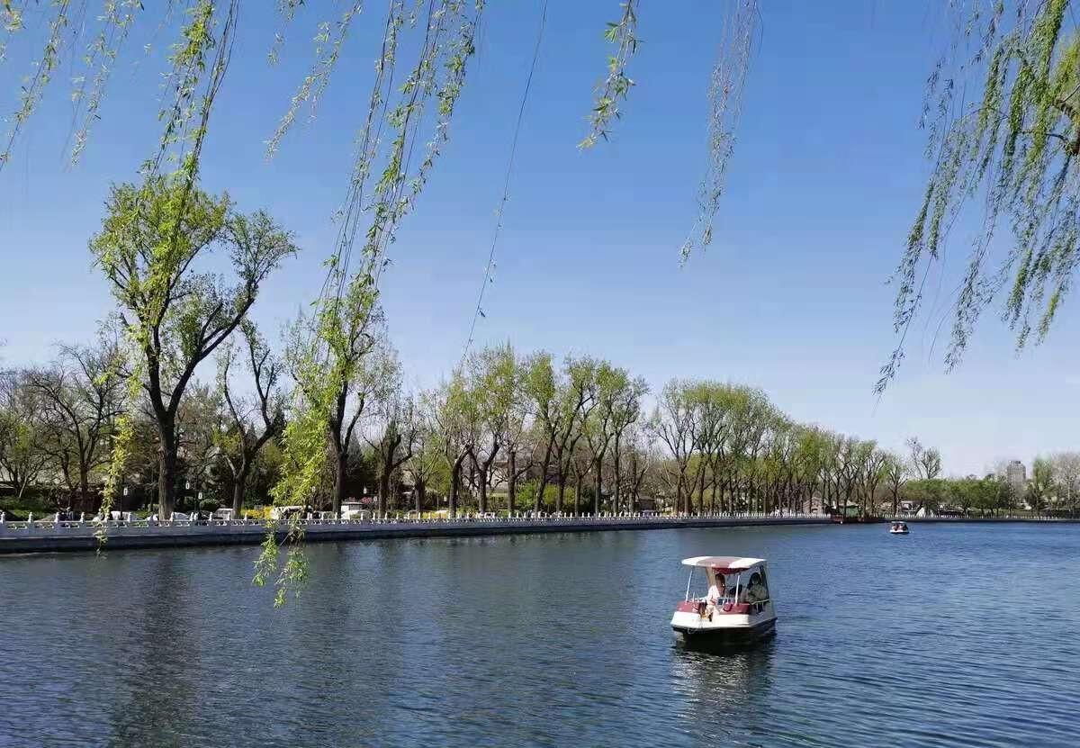 女人改命，靠“看淡”不靠“拼命”