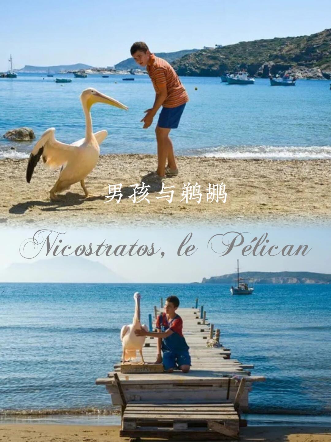 温暖治愈的成长诗篇