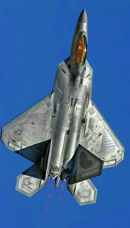 F-22的性能如此出众，为什么美军会选择将其停产？其实原因很简单：

1.它服役
