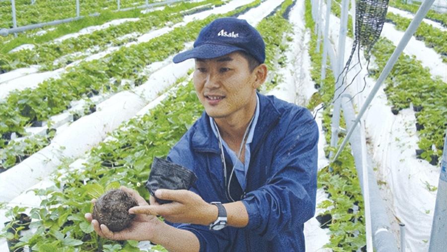 2006年日本高价租下山东千亩农田，荒废3年却不管，到底在图啥？