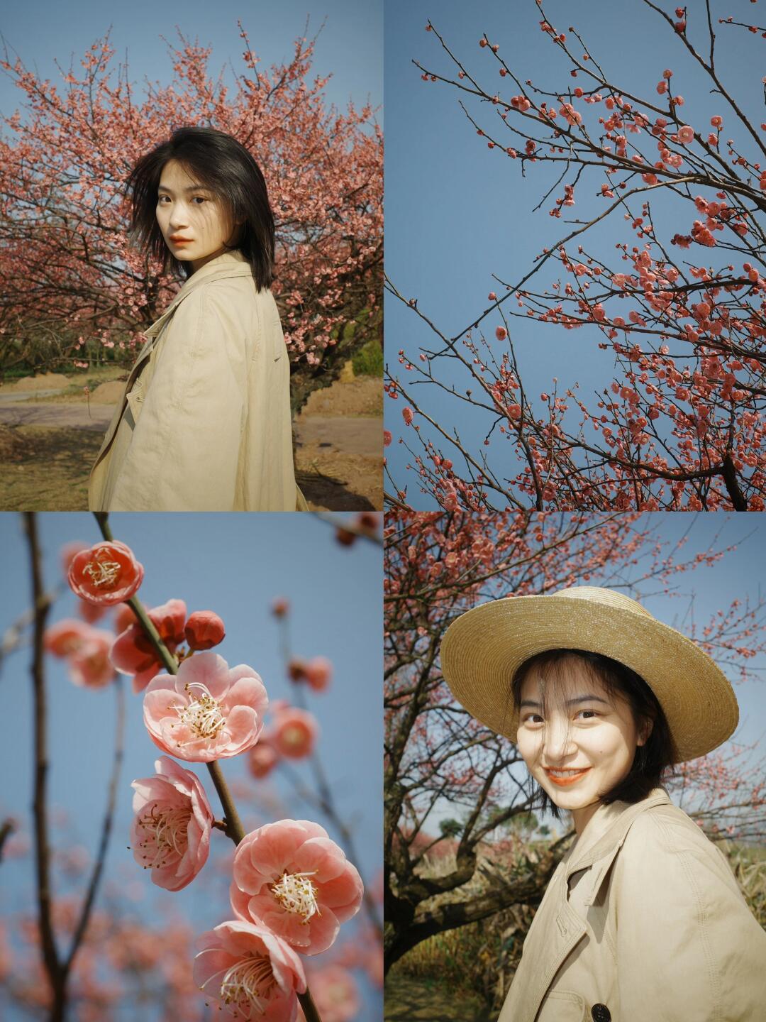 赴一场春天的约