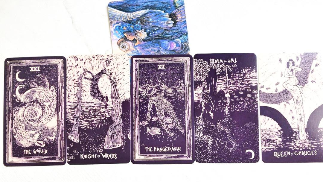 Ta的想法？你动还是不动？