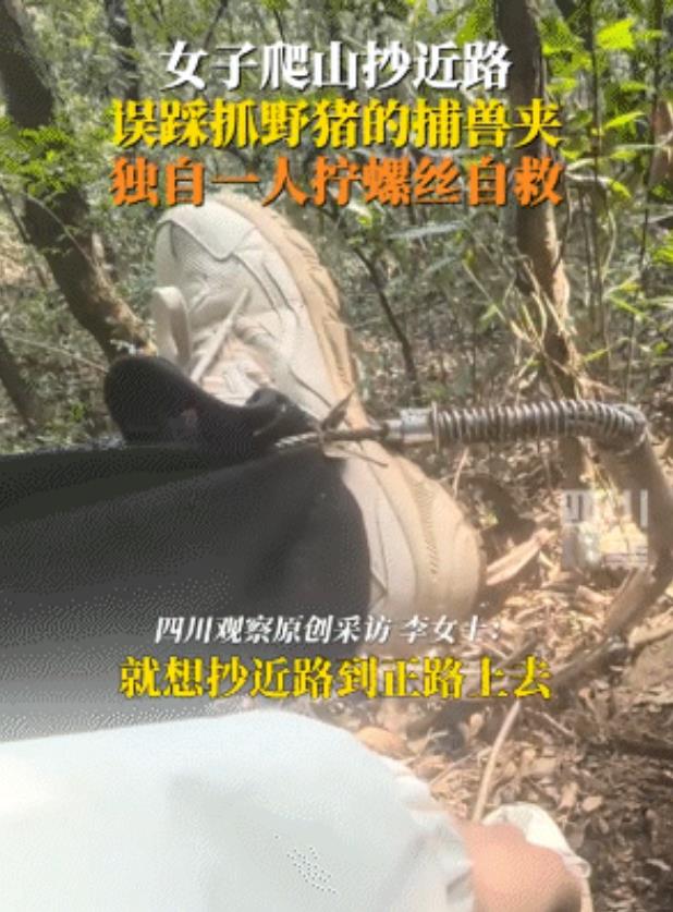 “谁这么缺德啊！”浙江杭州，一女子爬山时走“野线”，踩中抓野猪的捕兽夹，女子痛骂