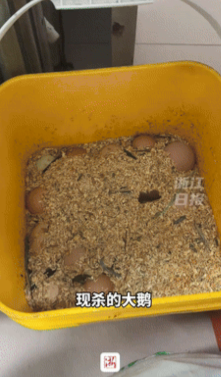 眼泪止不住了！天津，30岁远嫁孙女今年不回家过年，年近80岁的爷爷奶奶杀猪宰鹅坐