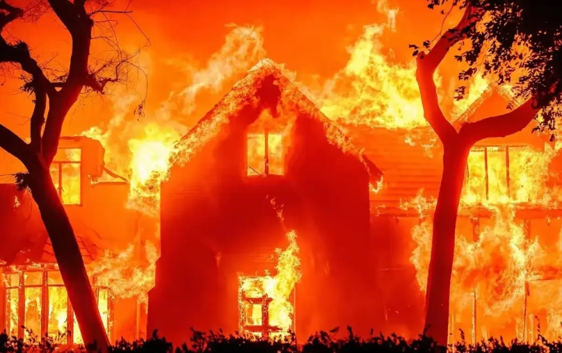 洛杉矶的大火烧醒了多少移居美国的中国富豪呢？据网上数据，2024年洛杉矶有48万