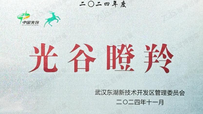 智博创享获评2024年度“光谷瞪羚”企业